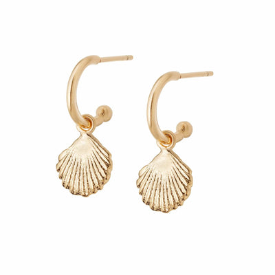 Daisy London Shell Drop Earrings, Gold
