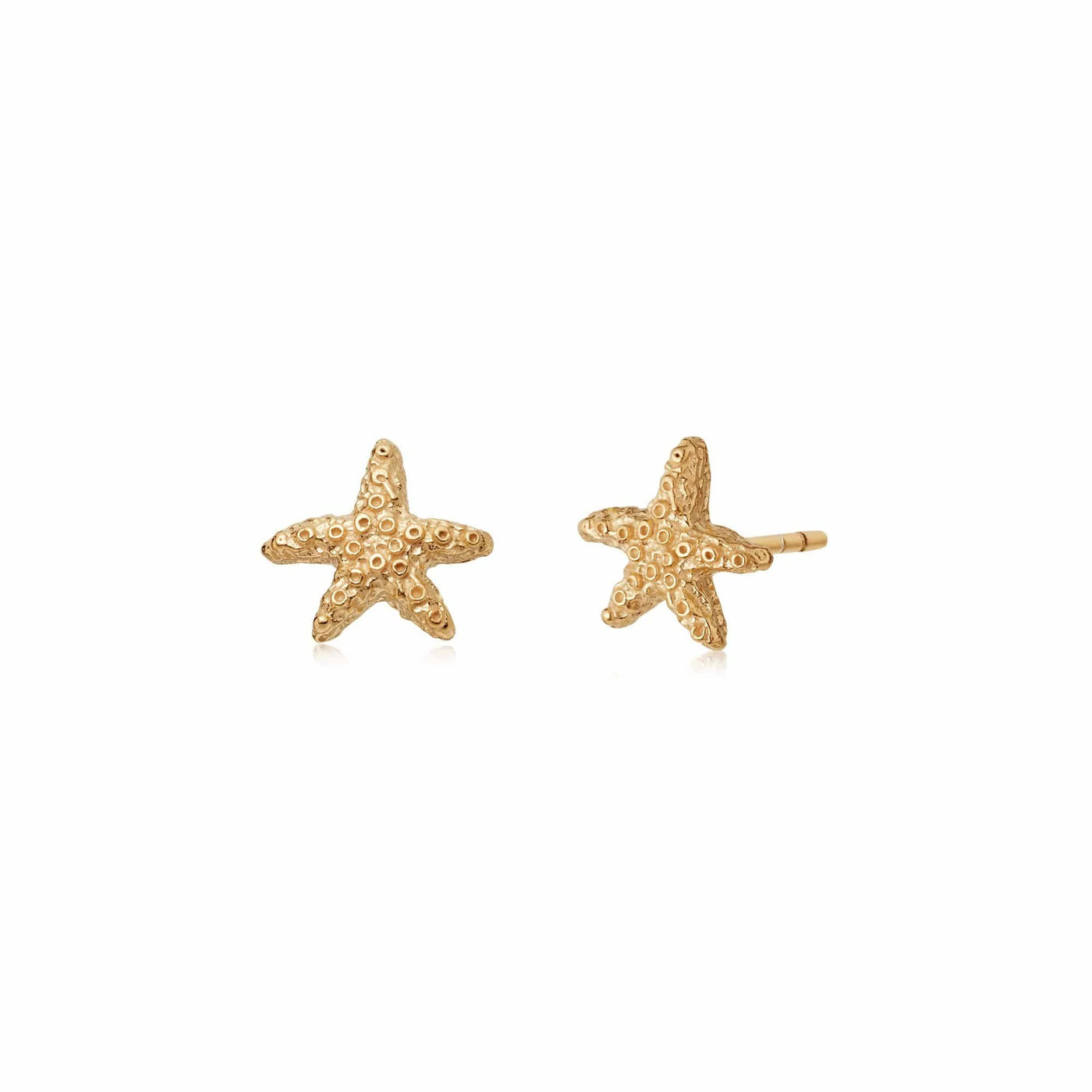 Daisy London Starfish Stud Earrings, Gold